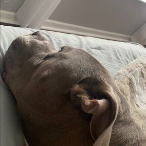 Meet your Posher, Patrick